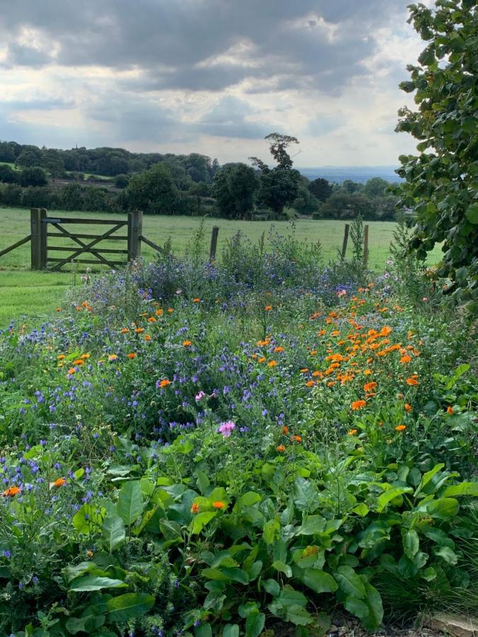 Farmhouse Studio Near Shrewsbury B&B 외부 사진